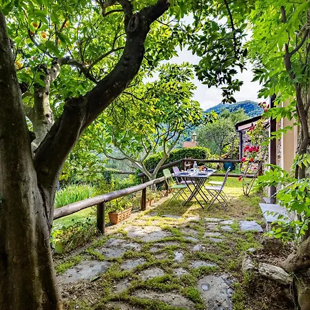 Lejlighed Hostdomus - Olive & Garden *