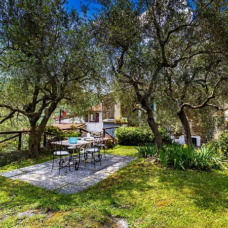 Lejlighed Hostdomus - Olive & Garden *